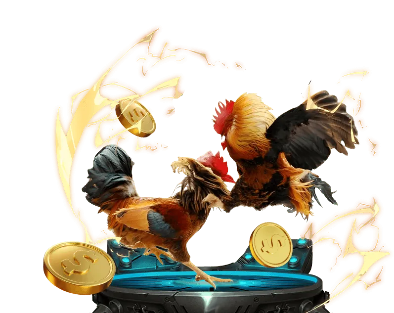 Người chơi đang cân nhắc lựa chọn nền tảng cá cược trực tuyến